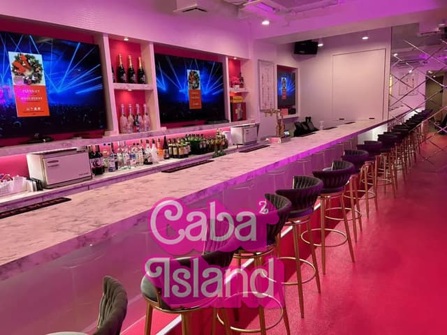 新宿歌舞伎町 レヴュー（Premium Girls Bar revju）