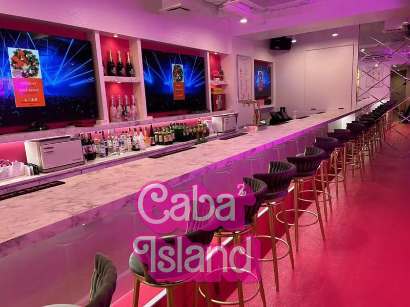 新宿歌舞伎町 レヴュー（Premium Girls Bar revju）